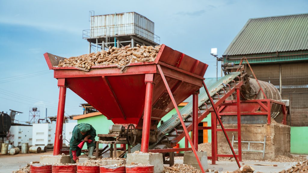 cassava at refinery