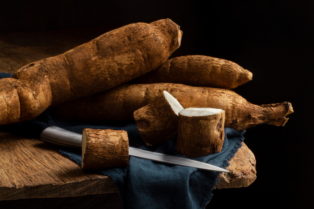 cassava tubers discussing the health benefits of cassava