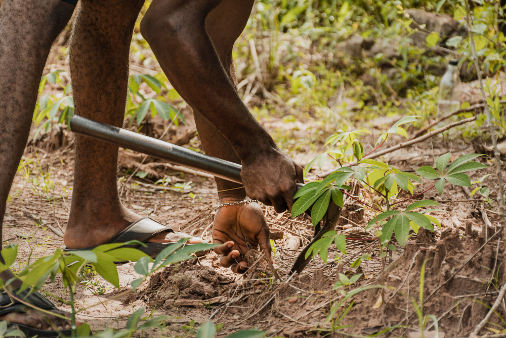 cassava farmer