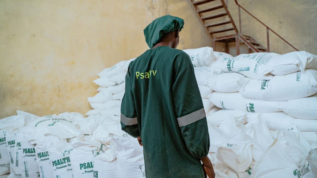 final stage of the cassava flour supply chain